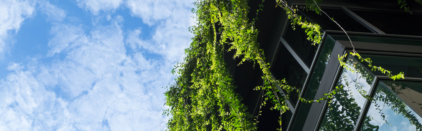 25 WEBART065 Environment Protection and Biodiversity 1400x450 Web