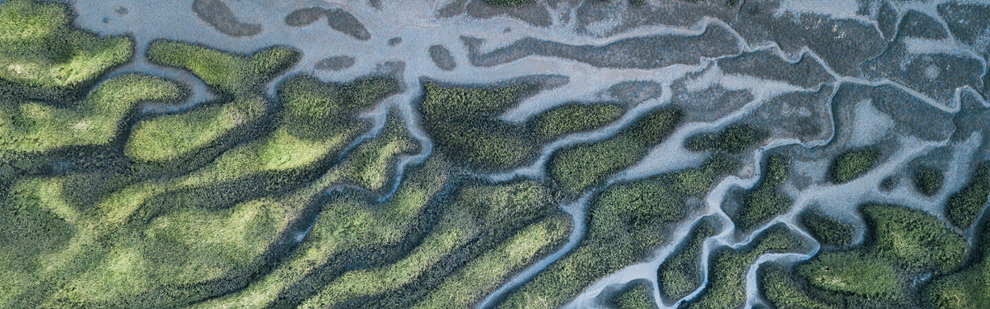 26 WEBART027 Environment Protection and Biodiversity 1400x450 Web