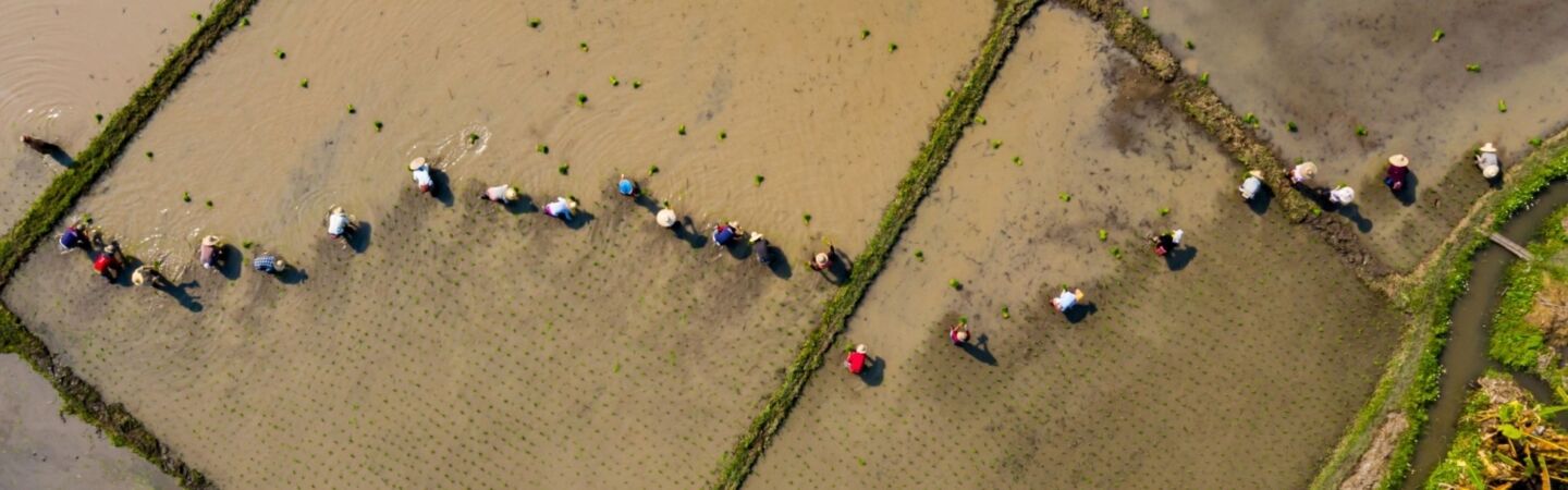 Article Federal Government calls for submissions on the Modern Slavery Act