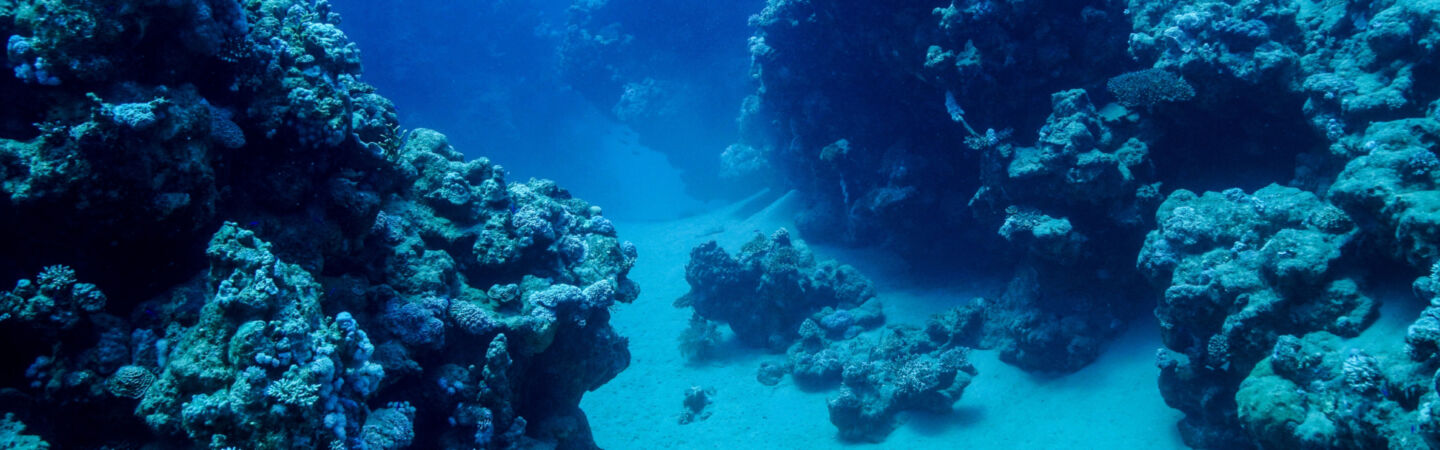 Deep sea mining Considerations for critical minerals investors Desktop