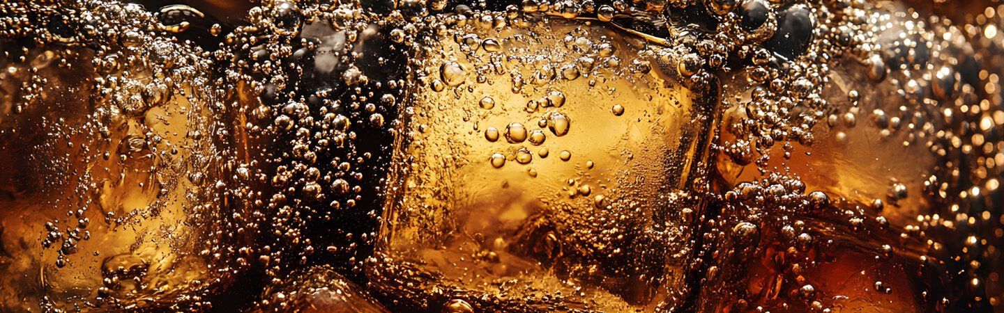 Pepsi Co High Court Decision Web
