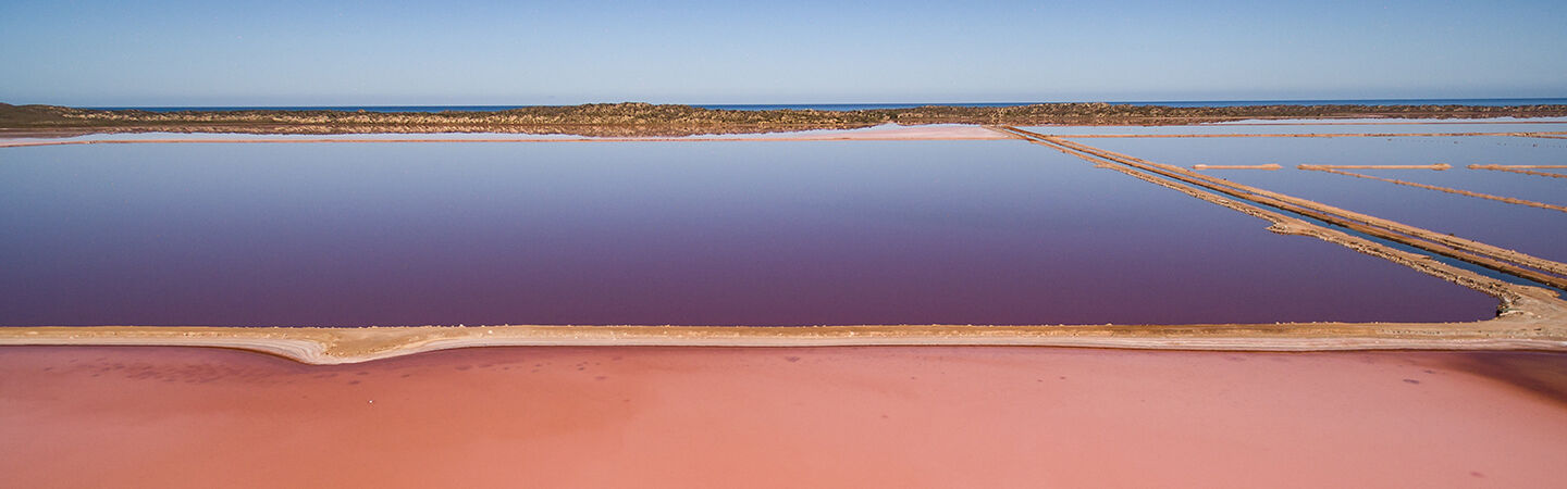 Trading intangibles across borders legal and regulatory considerations for Australian resource companies Desktop