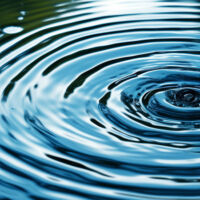 26 WEBART019 Managing downstream class action 1400x450 Web
