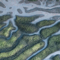 26 WEBART027 Environment Protection and Biodiversity 1400x450 Web