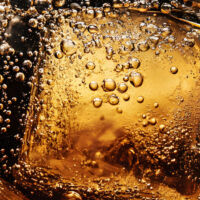 Pepsi Co High Court Decision Web