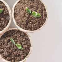 Article environment on your marks get set fogo the race to keep organic waste out of landfill