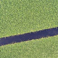 Article environment victorias new environmental protection reforms and the national state of play part three