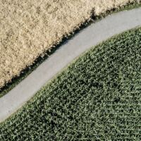 Article human rights international human rights law and the covid 19 response