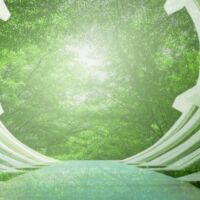 Article investigations ACCC Guidelines Green claims
