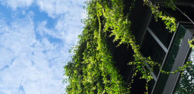 25 WEBART065 Environment Protection and Biodiversity 1400x450 Web