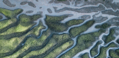 26 WEBART027 Environment Protection and Biodiversity 1400x450 Web