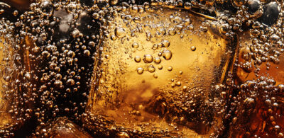 Pepsi Co High Court Decision Web