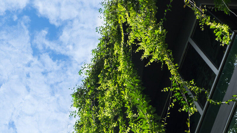 25 WEBART065 Environment Protection and Biodiversity 1400x450 Web