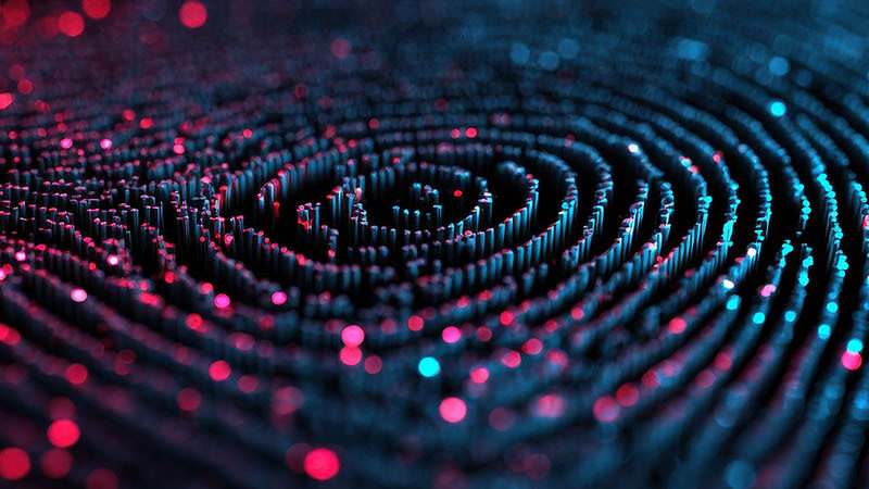 Automated decision making Preparing for the new transparency obligation Web