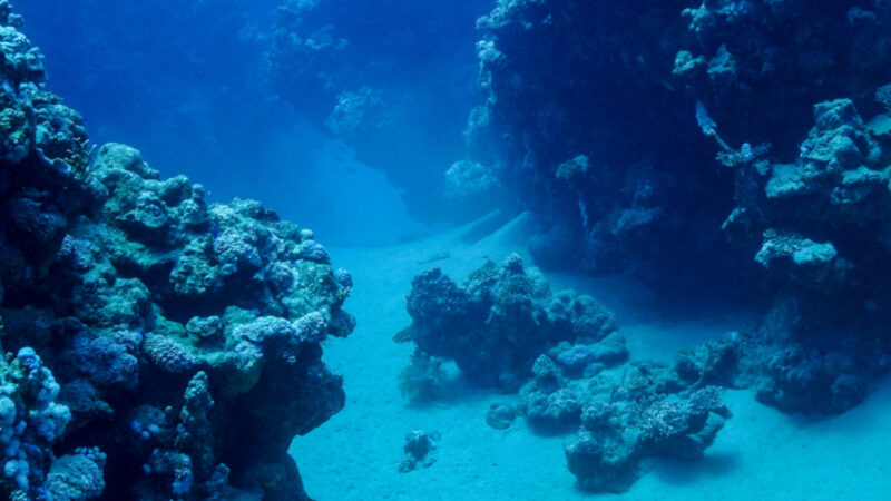 Deep sea mining Considerations for critical minerals investors Desktop